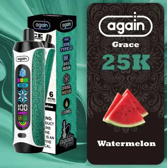 Again Grace Shisha Disposable Rechargeable Vape (25,000 Puffs) - Double Apple / 6 mg - Image 3