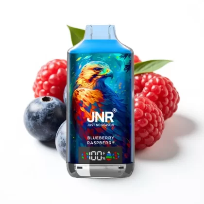 JNR Falcon X 18000 Puffs Arándano Frambuesa 24ml 5% Dual Mesh
