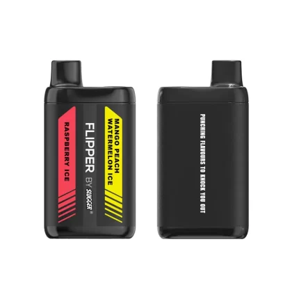 Raspberry Ice + Mango Peach Watermelon Ice – Flipper 12000 puffs By Slugger - Vapebazaar Pk