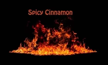 Spicy Cinnamon Premium E-Liquid