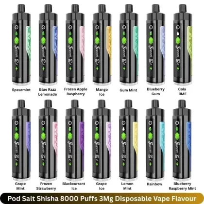 Pod Salt Shisha 8000 Puffs 3Mg Disposable Vape Flavour
