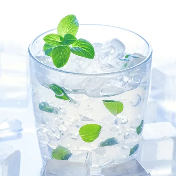 Ice Mint Vapour Days Flavour E-Liquid - Vapourdays Co