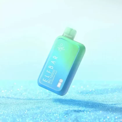Elf Bar BC10000 Blueberry Mint - Vapexotic In