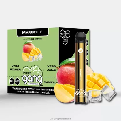 Vape Gang XL Disposable Vapes 600 puffs (Box of 10) 6006N68 Mango Ice – Vape Gang Shop - Bangvapeaustralia