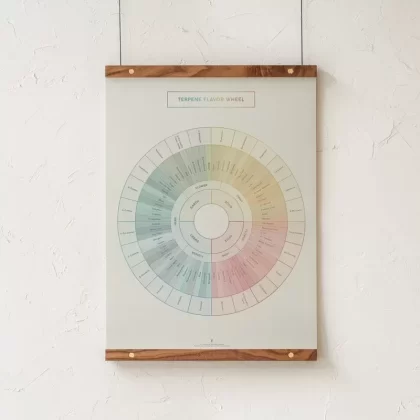 GoldLeaf Terpene Flavor Wheel Diagram Print