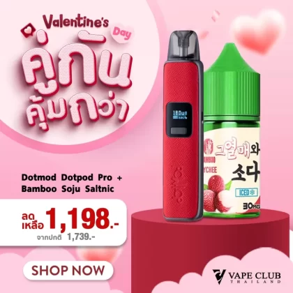 คู่กันคุ้มกว่า Dotmod Dotpod Pro + Bamboo Soju Saltnic