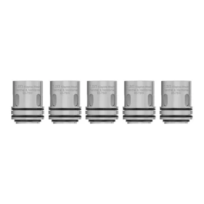 Augvape Intake Sub Ohm Tank Replacement Mesh Coils 5pcs-pack - 0.2ohm Clapton Mesh Coil