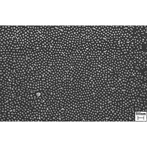 AuSome Single Size 38nm Gold Particles Standard