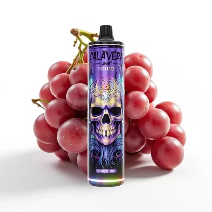 JNR Calavera 11000 Puffs Tipo-C 850mAh 21ml Uva Helada Mexico vape - Fumotvapemexico