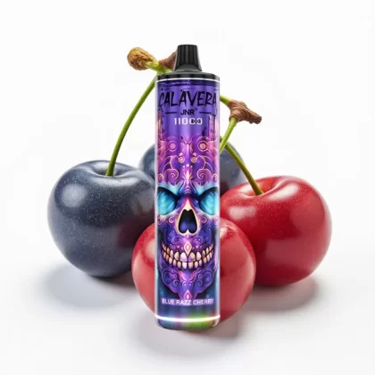 JNR Calavera 11000 Puffs Tipo-C 850mAh 21ml Arándano Cereza Azul