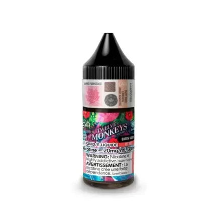 TWELVE MONKEYS ICE SALT 30 ML – QUEEN SOKO