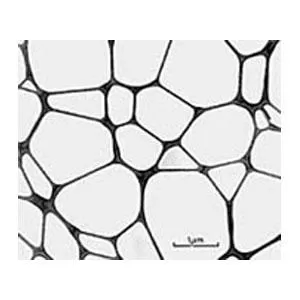 PELCO NetMesh™ Lacey Formvar stabilized with Carbon