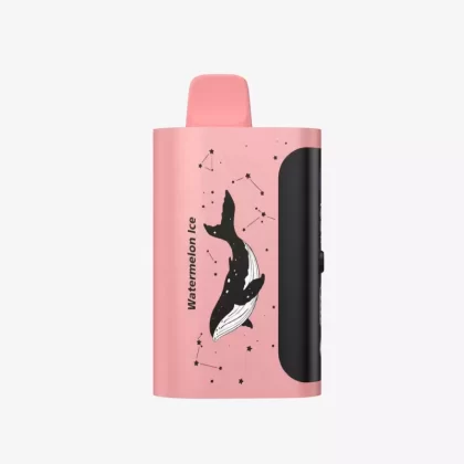 PICCO STAR 40000 Puffs – Watermelon Ice - Ozvapeone (18B583)