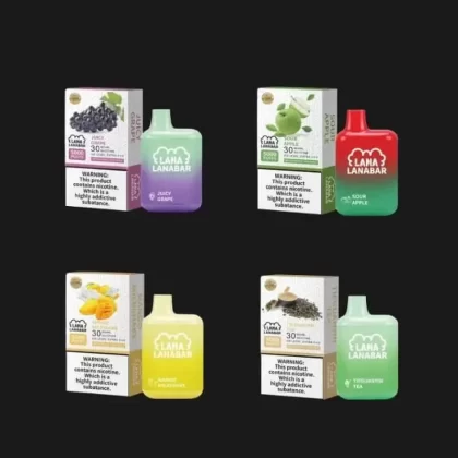 LANA BAR 5000 Puffs - Peppermint - Sgvapeshubsafety
