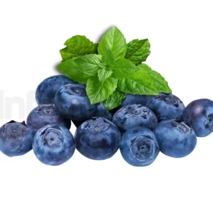 Blueberry Mint (Light Fantastic)