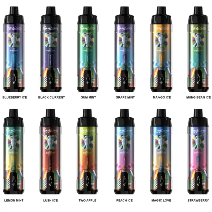 Last Love 20000 Puffs Rechargeable Disposable Kit (EURO2024) - Lemon Mint
