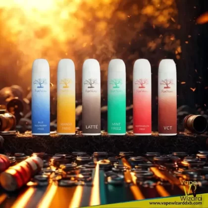 RIPE VAPES Palm Disposable 3000 Puffs 20MG Rechargeable Vape - Vapewizarddxb