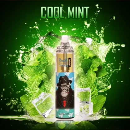 FUMOT Cool Mint Randm Tornado 7000 Puff Bar R and M Pack Of 10 Vape Pen geschmack