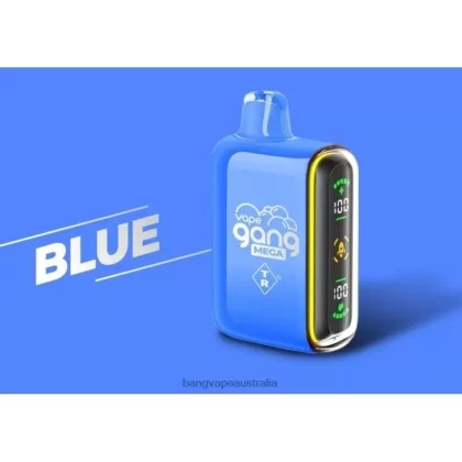 Vape Gang MEGA 20,000 puffs Disposable Vape (Box of 5) 6006N52 Blue – Vape Gang Australia - Bangvapeaustralia