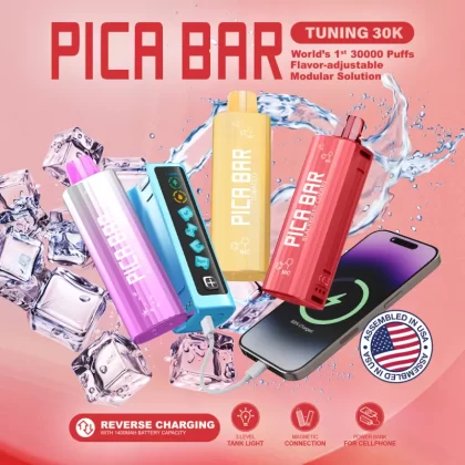 Assembled in USA | PICA BAR "TUNING" 30K Disposable KIT - 30,000 Puffs - Miami Mint