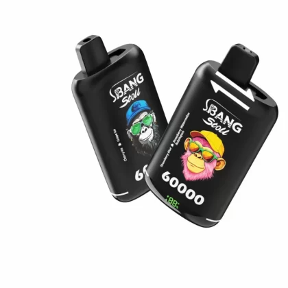 Bang Leader Stoll 60000 Puffs Double Flavors Smart LED Vape - Random Mix, Watermelon Ice & Strawberry Watermelon Bubblegum; 3-nicotine, 2-nicotine (276E87)