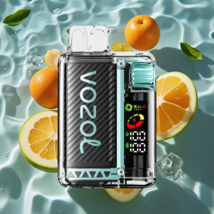 VOZOL Vista 20000 Puffs Rechargeable Disposable Vape with OLED Screen & 6-Level Watt Adjustment – Sour Apple Ice - Bangvapeaustralia