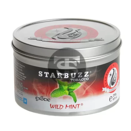 StarBuzz Exotic Wild Mint Hookah Shisha 250g - Ejuicewarehouse