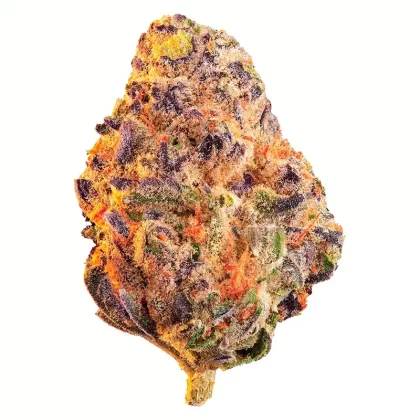 Edison Black Cherry Punch
