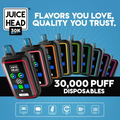 Juice Head 30K Disposable Vape - Cool Mint, Grape Pop