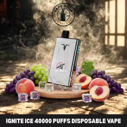 Ignite Ice 40000 Puffs Disposable Vape Icy Flavor Control Buy in Dubai - Vapeshopdubaiuae