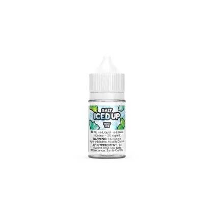 Mint Ice By ICED UP SALT – 30 ML