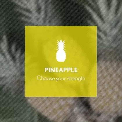 Pineapple By Blast E-Liquid 10ml
