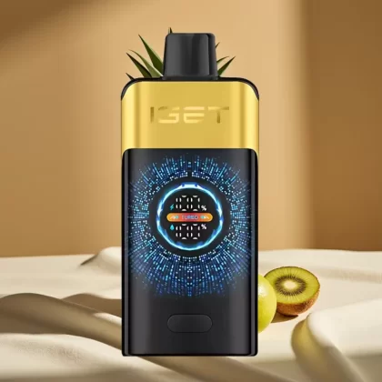 IGET ONE 12000 Puffs Turbo Disposable Vape with Curved Screen & Dual Mesh Coil – Kiwi Pineapple
