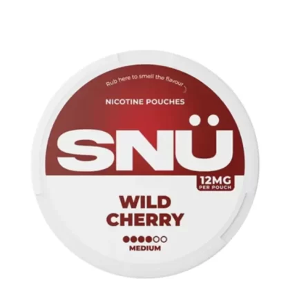 Snu Snus 12mg Nicotine Pouches - Vape Co
