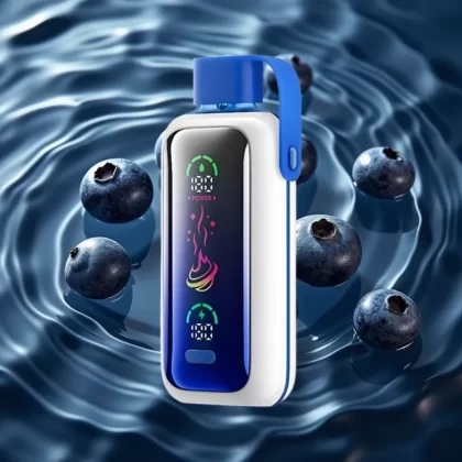 VOZOL Star 20000 Puffs Disposable Vape with 2.2″ HD Screen & Dual Mesh – Blueberry Storm - Bangvapeaustralia