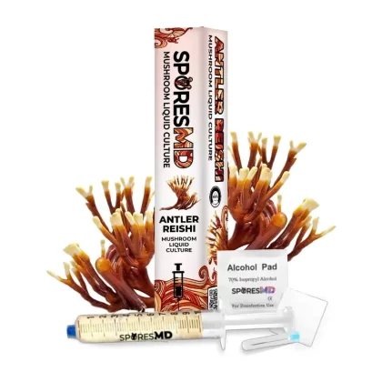 SporesMD Antler Reishi Organic Mushroom Liquid Culture Syringe (10ml) - Ejuicewarehouse