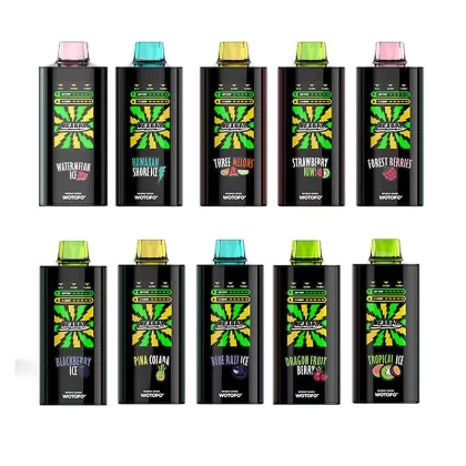 Wotofo nexBar 20K Rechargeable Disposable Vape Kit - Watermelon ice / 20mg / CN-SZ Warehouse