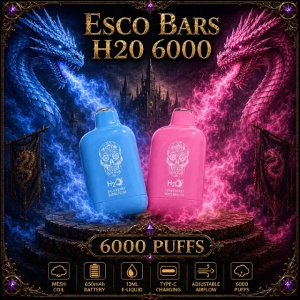 Esco Bars H20 6000 - Kiberry Chew (WHT Series) / Green Apple
