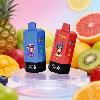 Bang Leader 300K 300000 Puffs 6-in-1 Flavors Rechargeable LED Display Disposable Vape - Vapeq10