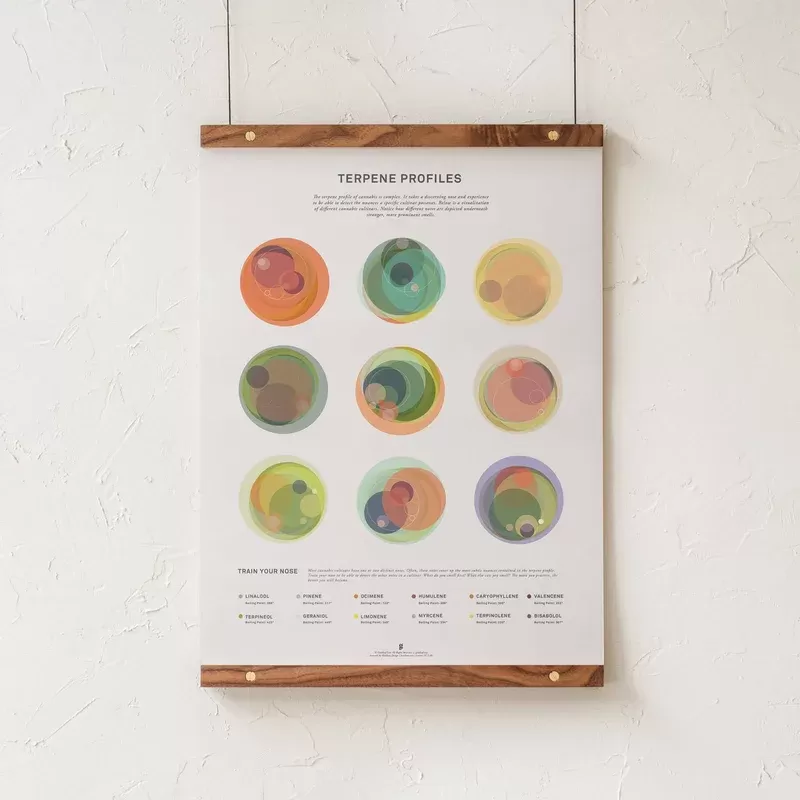 GoldLeaf Terpene Profile Illustration Print - Size#18x24">24x36"~Options#Print Only>Print + Walnut Hanging Rails>Print + Maple Hanging Rails>Print + Black Frame>Print + Natural Frame