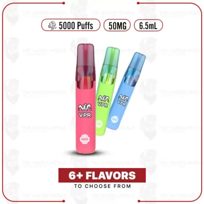 VPR 5000 Puffs Disposable Vape - Thevapersworld