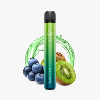 ELFBAR 600V2 Blueberry Kiwi | Blaubeeren Kiwi Einweg Vape