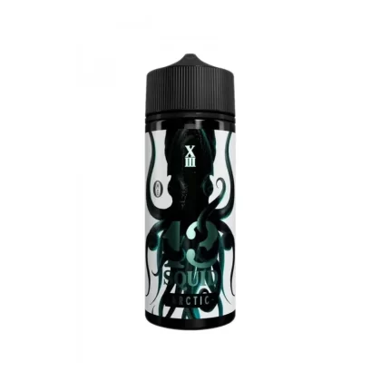 13 Squid Arctic