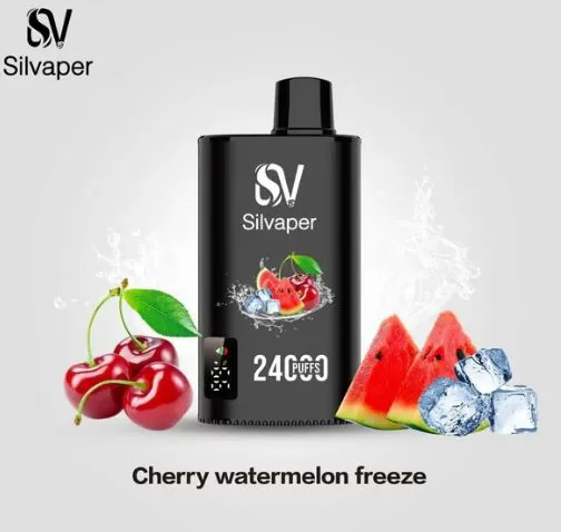 Silvaper Disposable Vape 24000 Puffs - 20 mg / Watermelon Bubblegum - Image 3