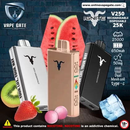 IGNITE - V250 Rechargeable Disposable Vape (25,000 Puffs) - Strawberry Kiwi / 50 mg