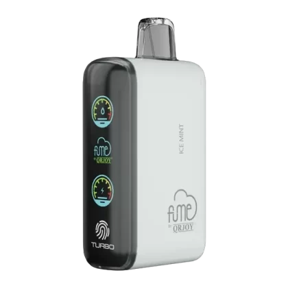 Ice Mint FUME Eternity Turbo 20K - Consumer; Vape Product; 5 Pack, Single
