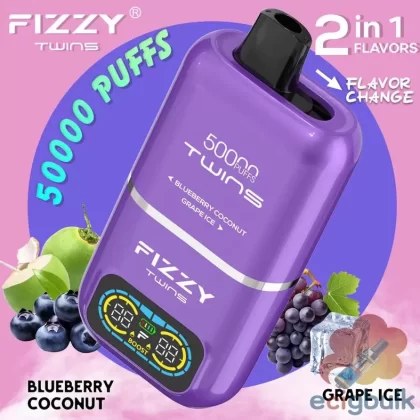 Fizzy 50,000 Puffs 2-in-1 Disposable Vape – Dual Flavors & Long-Lasting