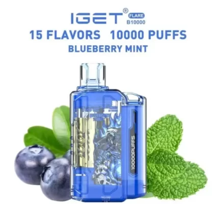 IGET FLARE B10000 Rechargeable (10000 Puffs)