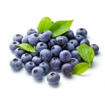Blueberry – DIY Flavoring By Capella - Vape Product, Vape Product