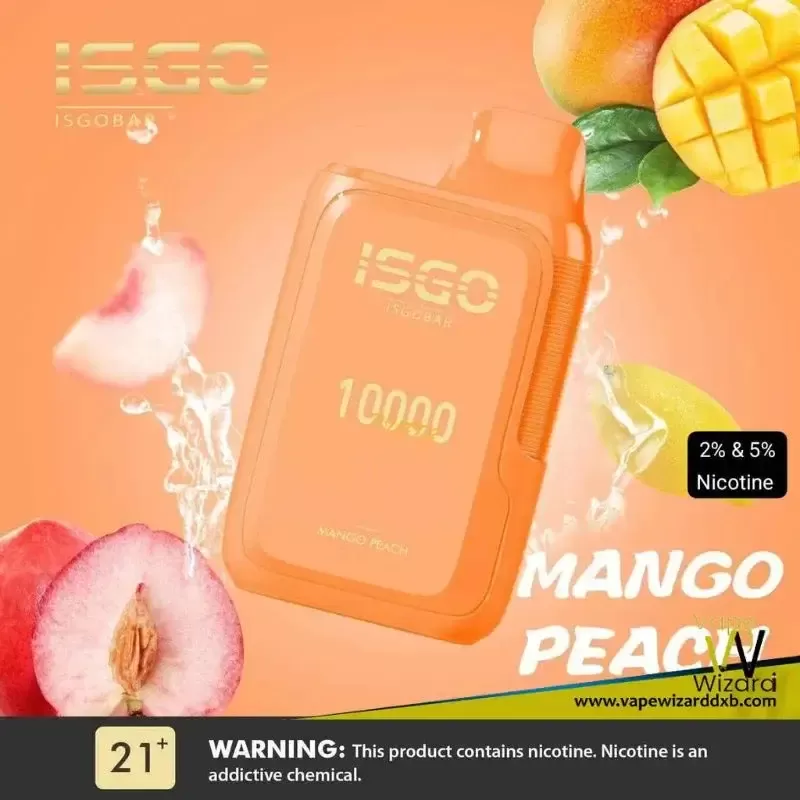 ISGO Bar Disposable 10000 Puffs 2% Rechargeable Vape - Vapewizarddxb - Image 3